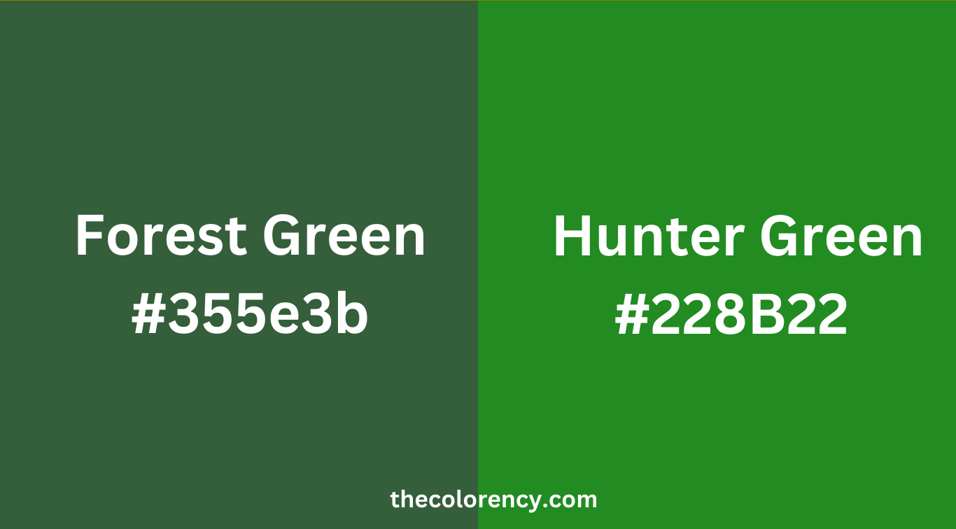 Hunter Green Vs Forest Green - The Color Ency
