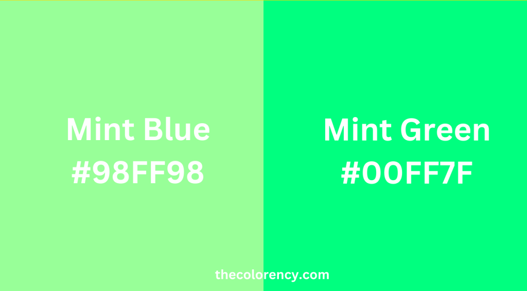 Mint Blue Vs Mint Green