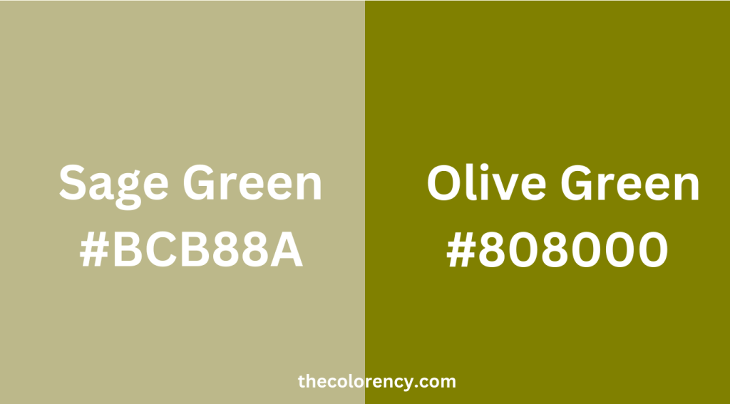 Sage Green Vs Olive Green
