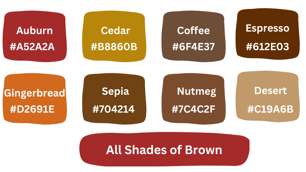 Different Shades of Brown-thecolorency