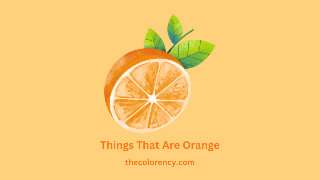 Things That Are Orange