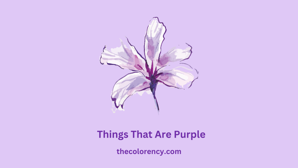 Things That Are Purple