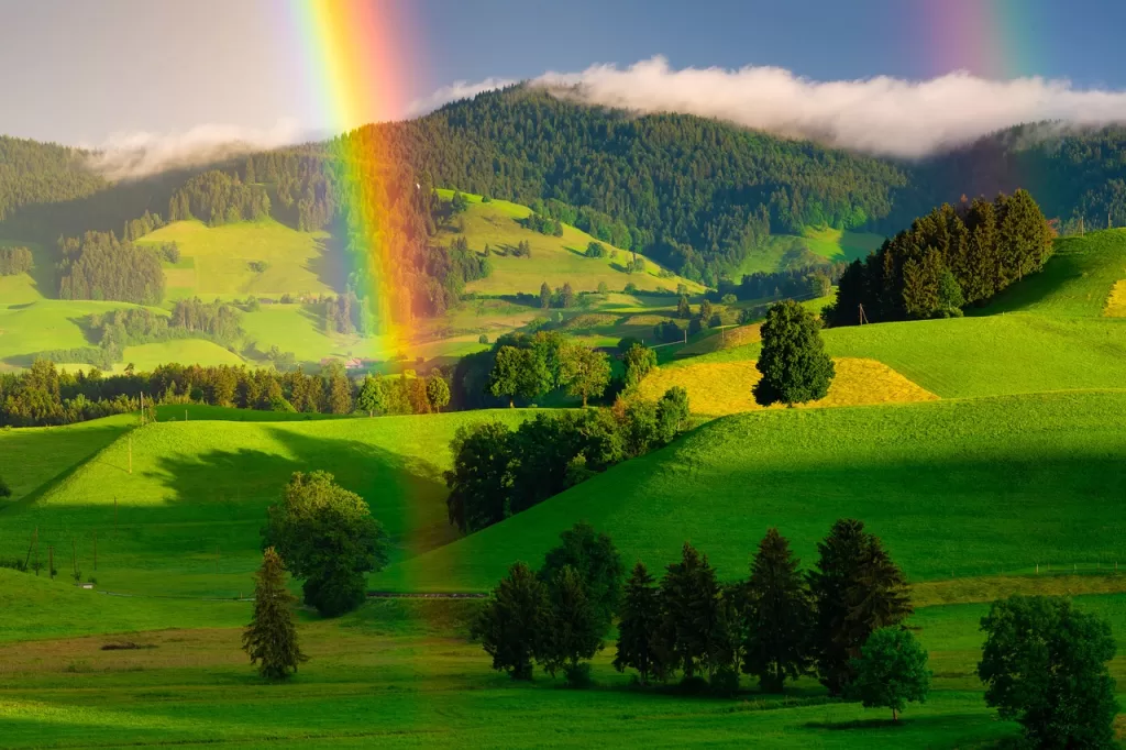 rainbow, hills, trees-5324147.jpg