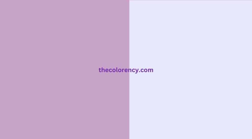 Lilac Color and Lavender C