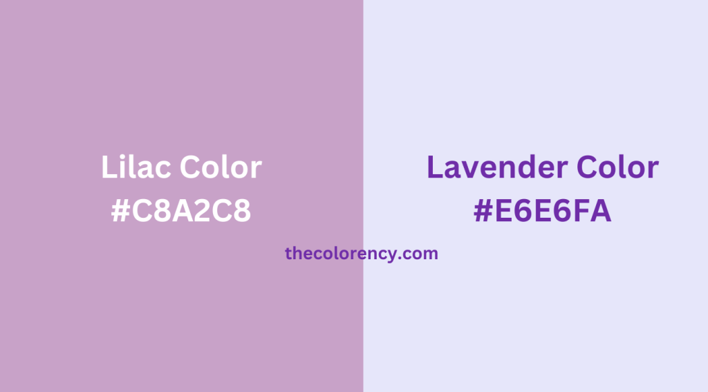 Lilac Color vs Lavender Color