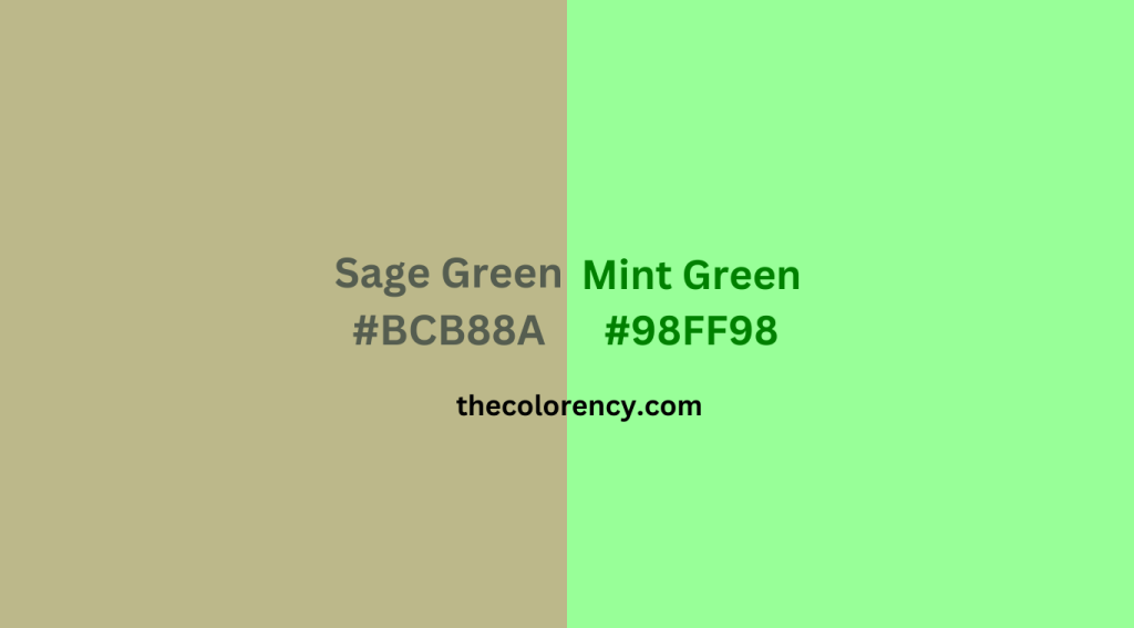 Mint Green vs Sage Green