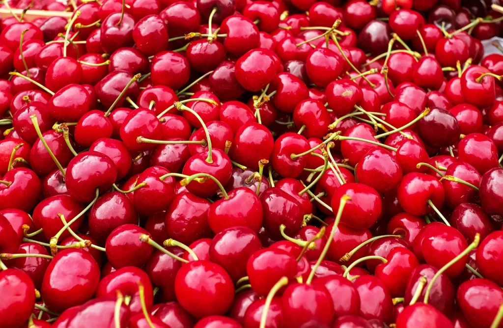 cherries, sweet cherries, heart cherries-1465801.jpg