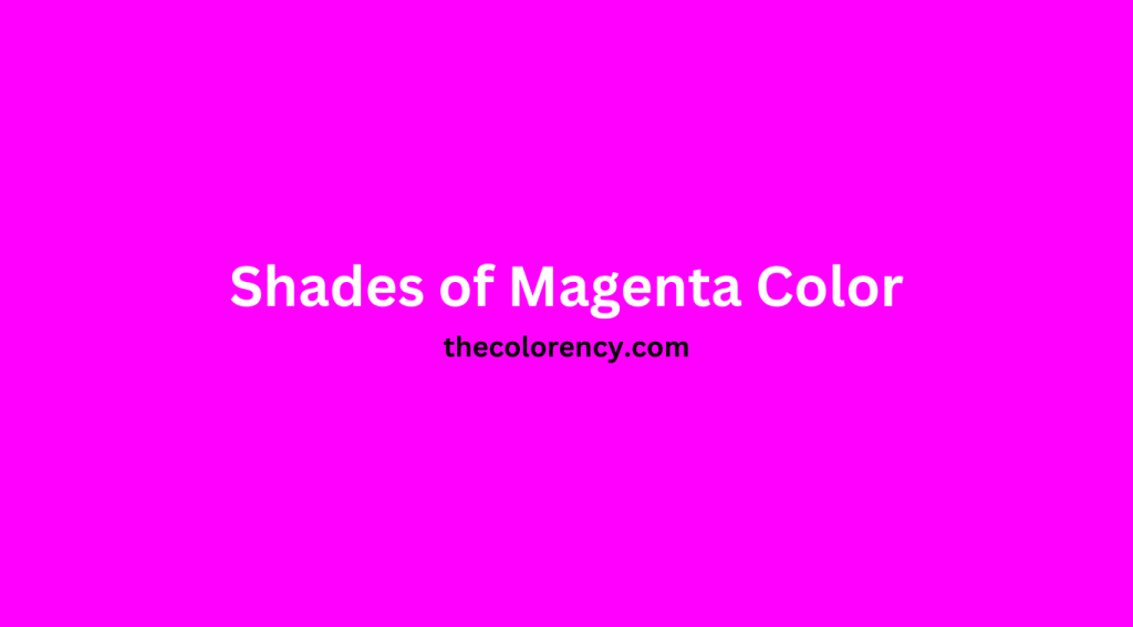 Shades of Magenta Color