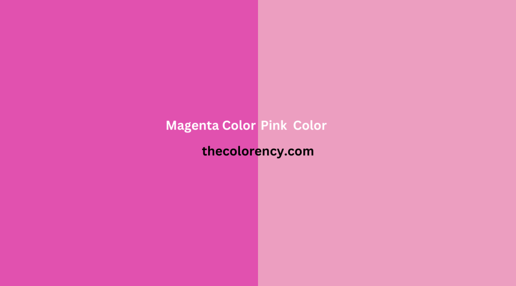 Magenta Pink vs Purple